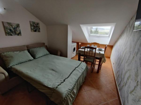 Apartamento Río Gallo